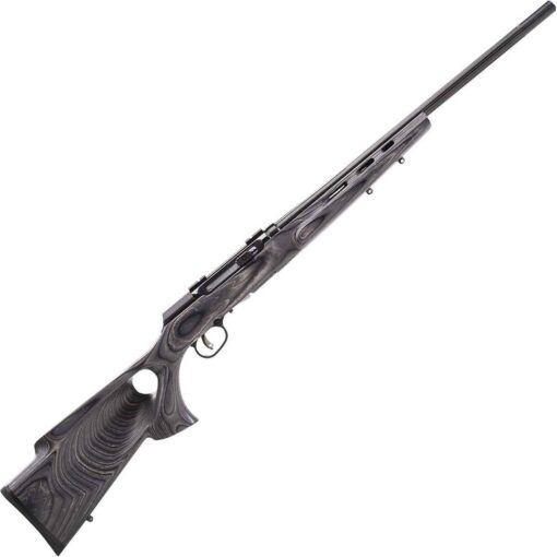 savage arms a22 btv blued semi automatic rifle 22 long rifle 1507016 1